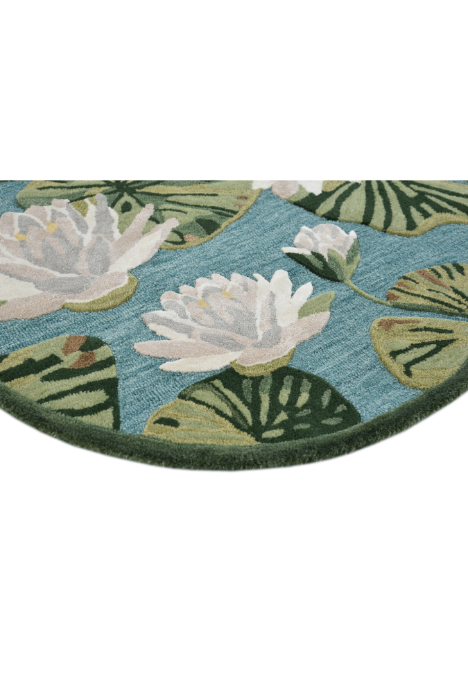 Lotus pond