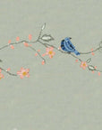 Piculet
