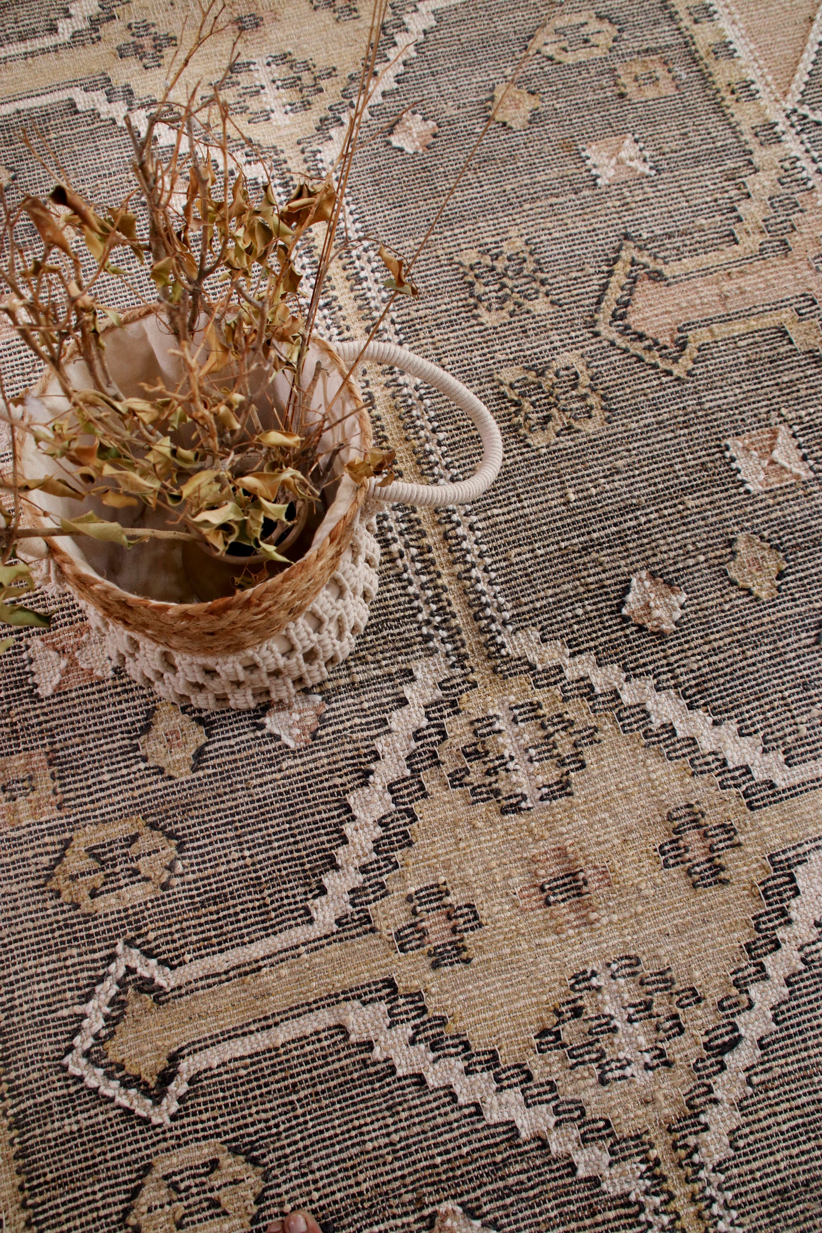 Meknes (7397643550876)