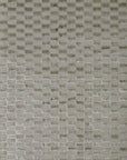 Enamel (7394825961628)