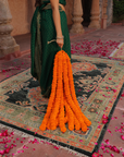 Palash